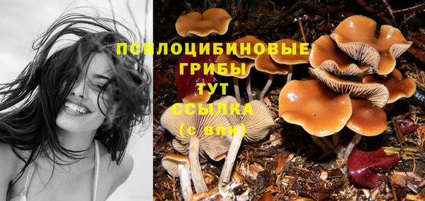 СК Верхний Тагил