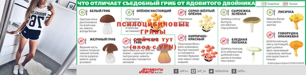 СК Верея